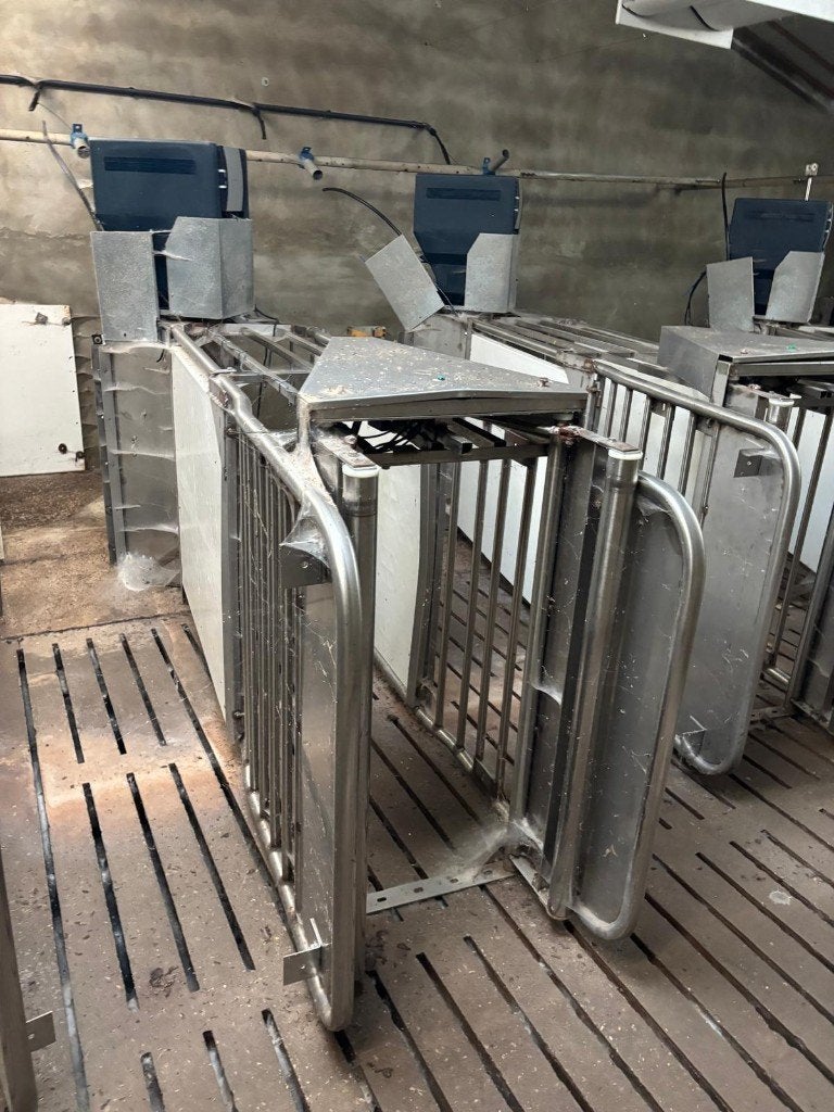 Voerstations RVS Wolbrink [488], Dieren en Toebehoren, Stalling en Weidegang, Boekhorst Trading, Tim@boekhorsttrading.com, Singel 16, Horssen