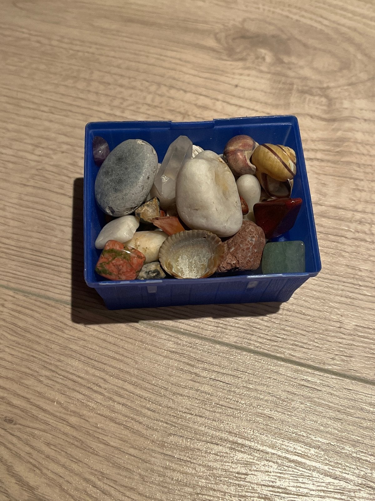 Verzameling van mineralen, stenen en schelpen, Ophalen of Verzenden, Overige typen