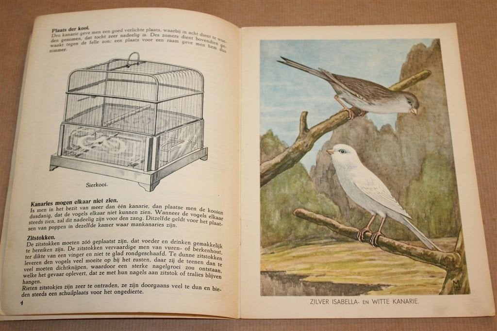Kanaries — Vintage Kweekboekje P Sluis 1934, Kleurenplaten, Ophalen of Verzenden, Gelezen, Vogels