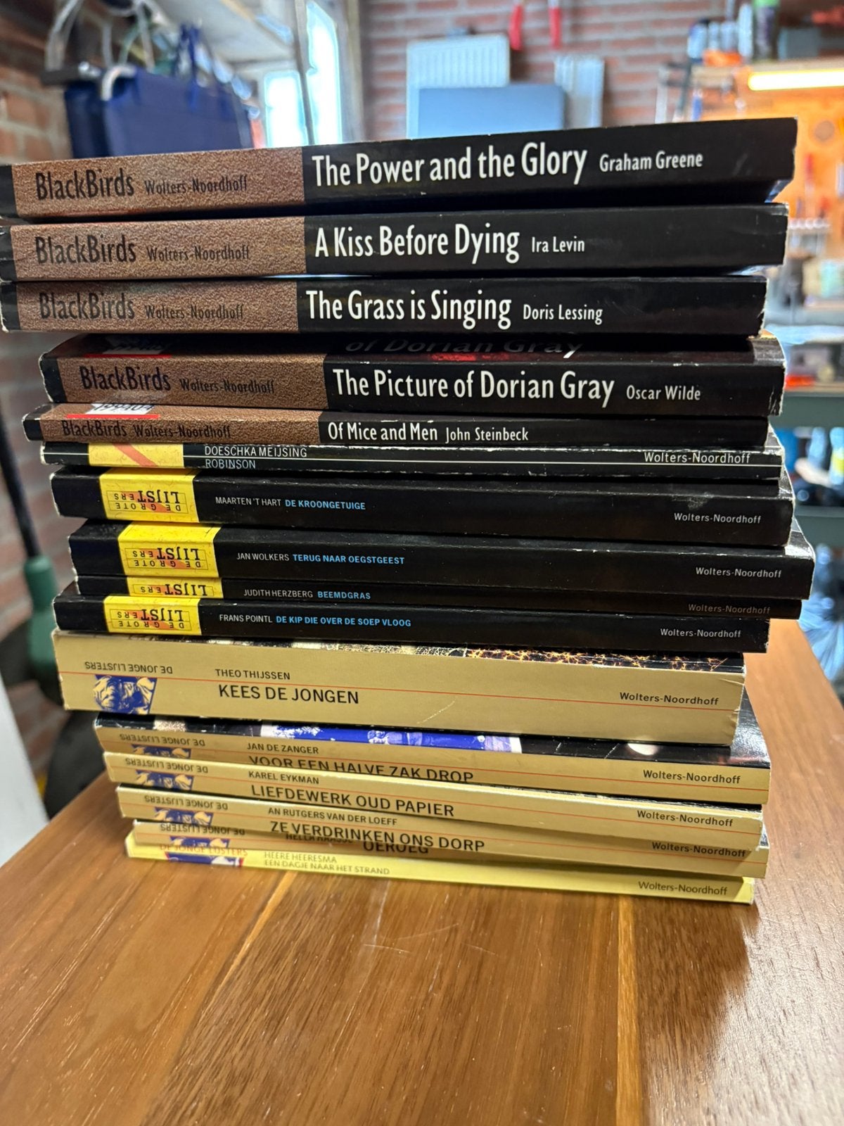 Lijsters en blackbirds, Boeken, Literatuur, Gelezen, Nederland, Ophalen of Verzenden