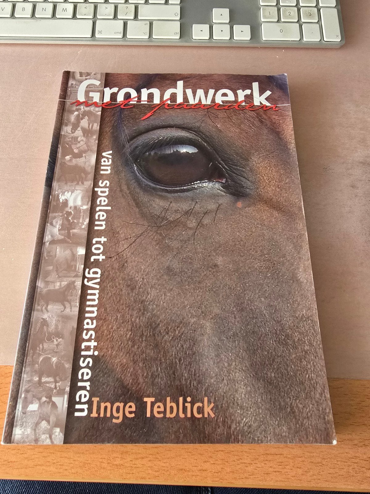 Grondwerk met paarden inge teblick isbn 90-901-9074-0, Gelezen, Inge teblick, Ophalen of Verzenden, Paarden of Pony's