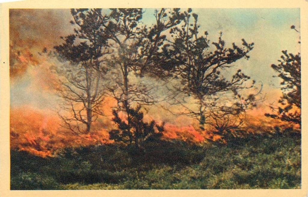388-474-005 Nunspeet, Verzenden, Voor 1920, Gelderland