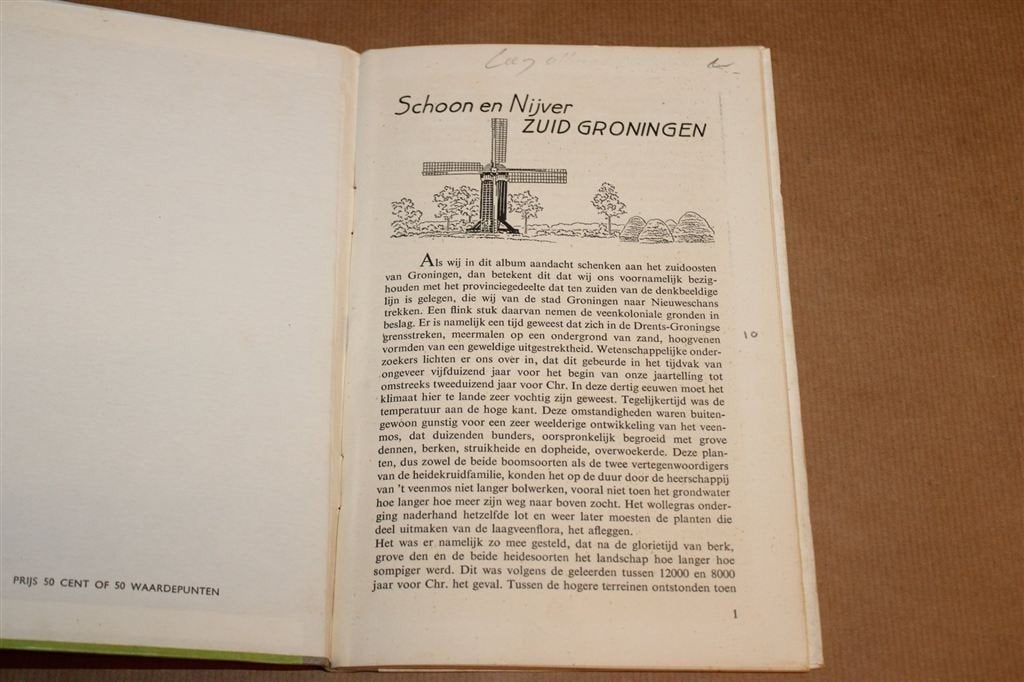 Schoon en Nijver Zuid Groningen — Leeg Plaatjesalbum, Boeken, Ophalen of Verzenden, Gelezen