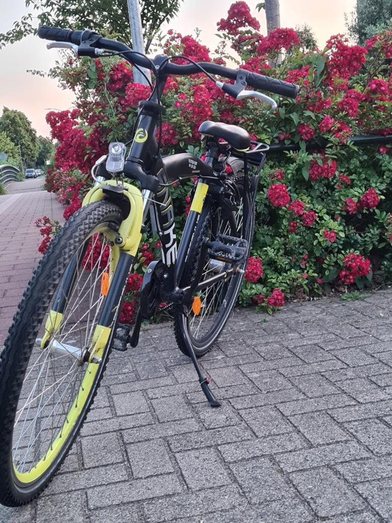 nieuwe staat Batavus snake 26inch(zonder mankementen), Ophalen, Zo goed als nieuw, Batavus, Versnellingen