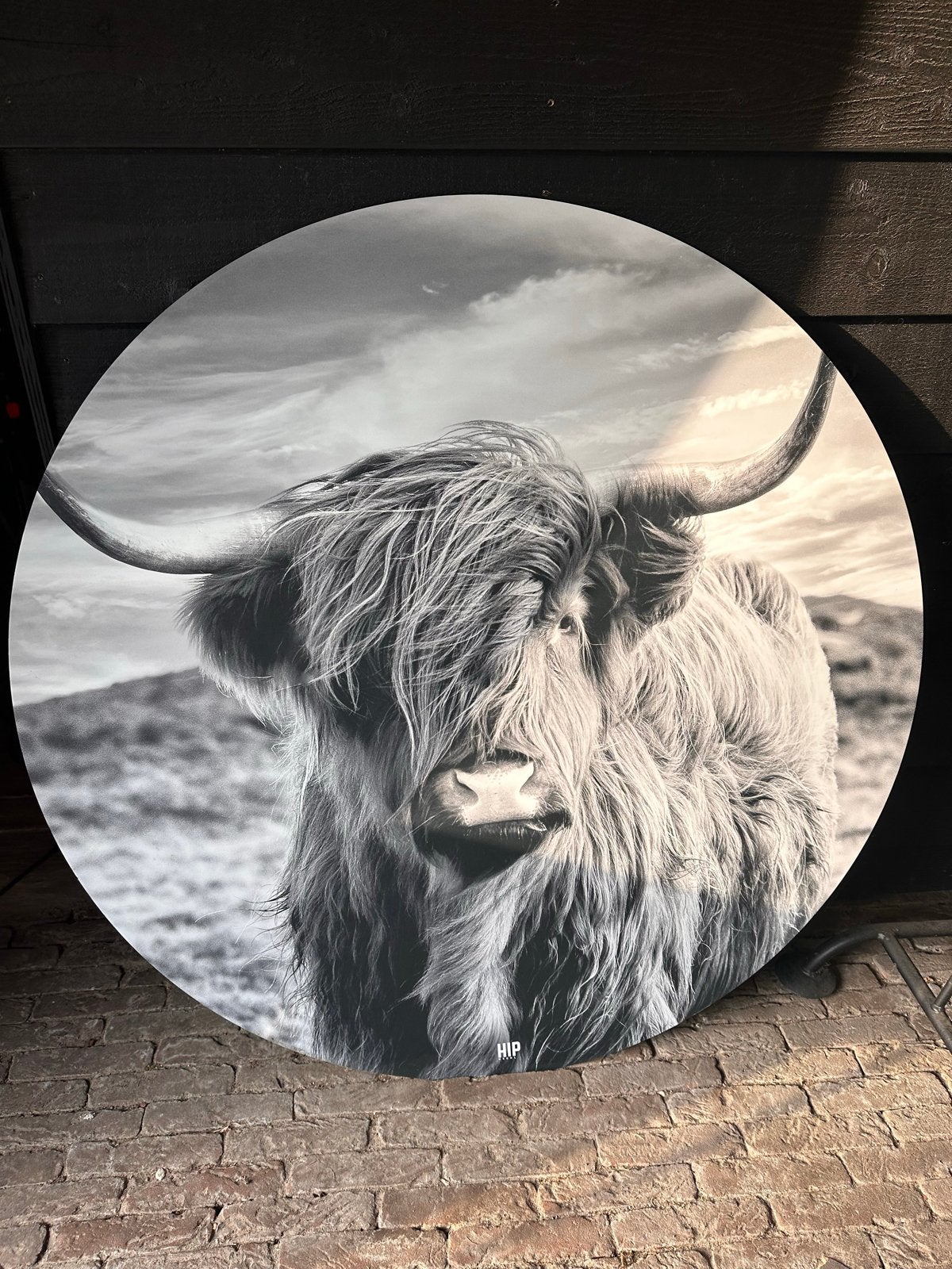 HIP ORGNL Ronde wanddecoratie Schotse Hooglander - 120 cm, Ophalen, Zo goed als nieuw, 100 tot 125 cm, Foto of Poster