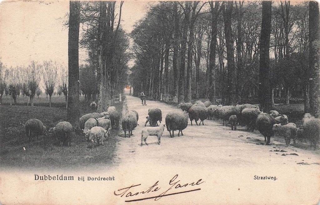 702-221-033 Dubbeldam Bij Dordrecht Straatweg, Verzenden, Voor 1920, Zuid-Holland