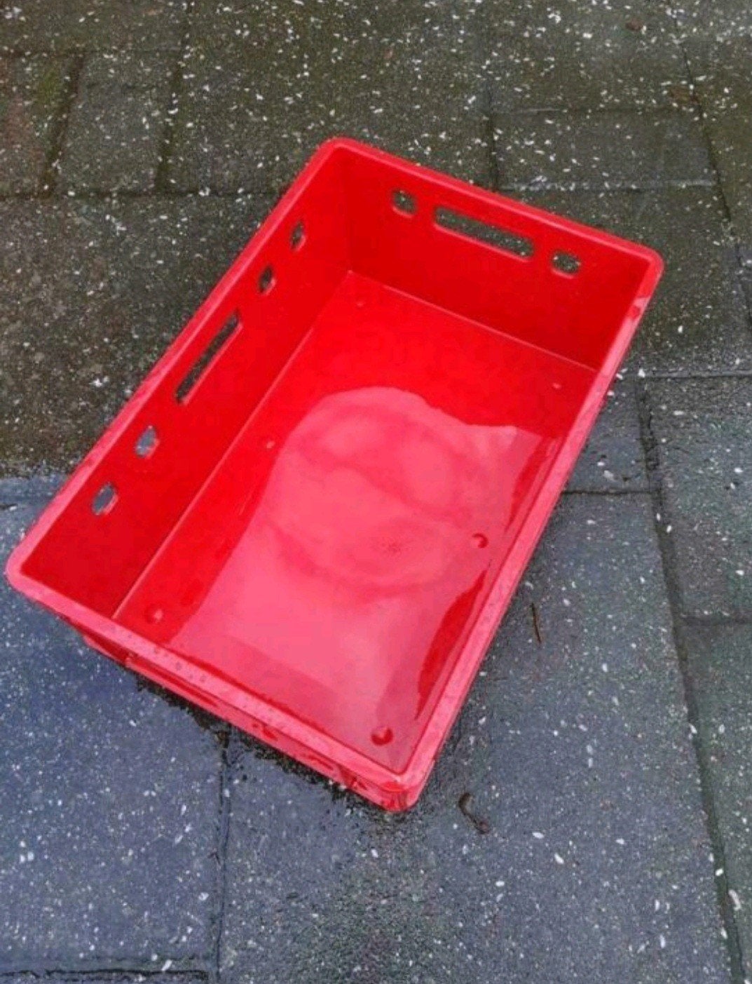E2 vleeskratten krat bak stapelbakken, 100 cm of meer, 60 cm of meer, Ophalen of Verzenden, 50 cm of meer