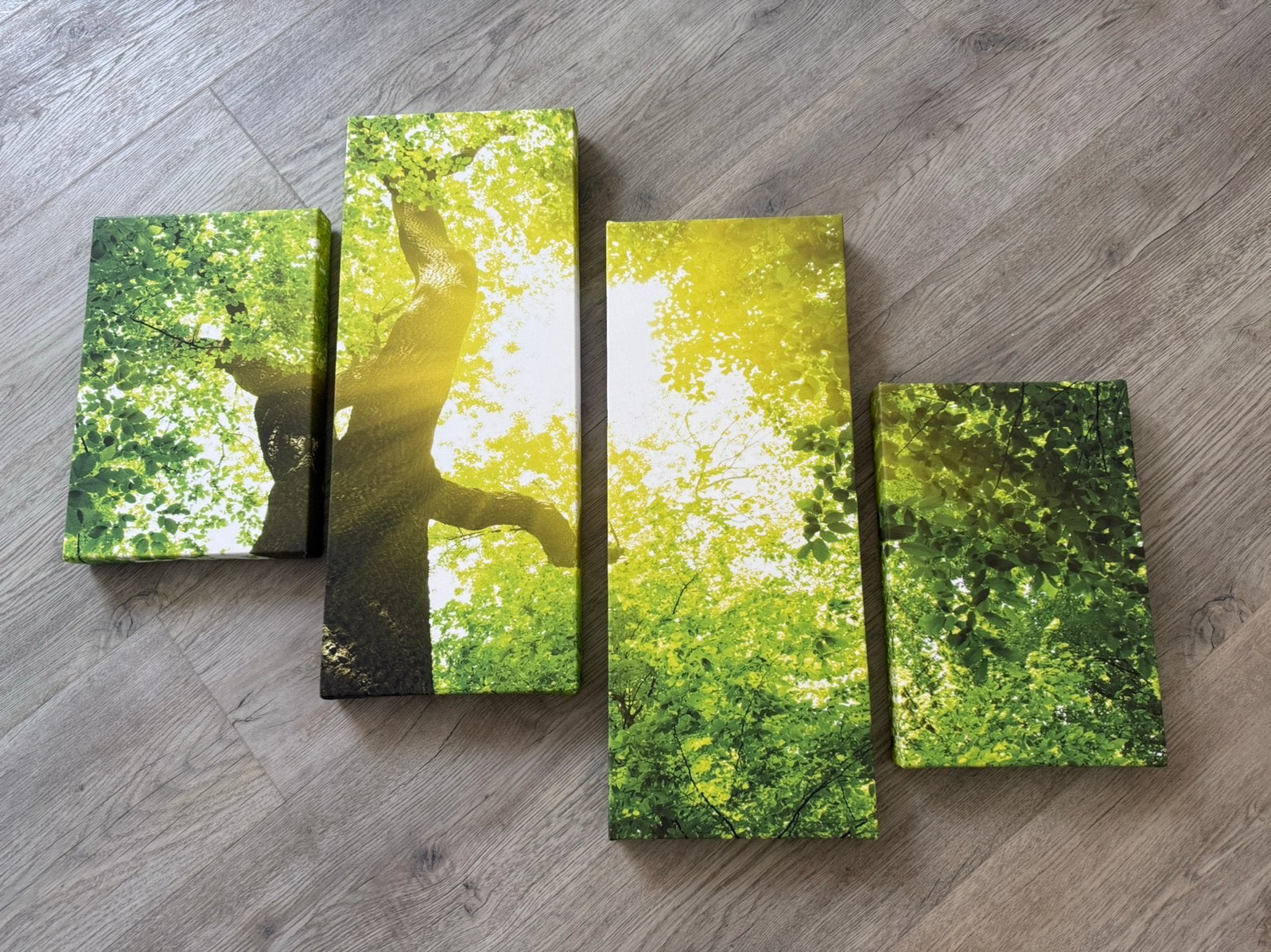 Canvas schilderij van bomen, Ophalen of Verzenden, Zo goed als nieuw, Schilderij