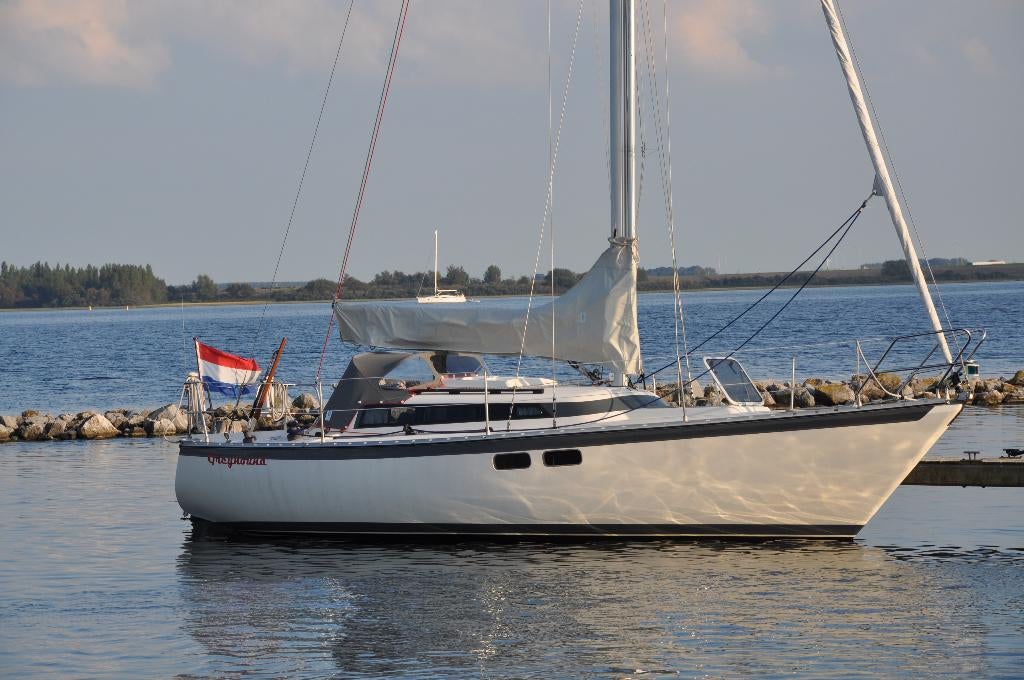 Friendship Pion 30 (bouwjaar 1989), Watersport en Boten, Kajuitzeilboten en Zeiljachten, Ophalen, Gebruikt, Diesel, 9 tot 12 meter