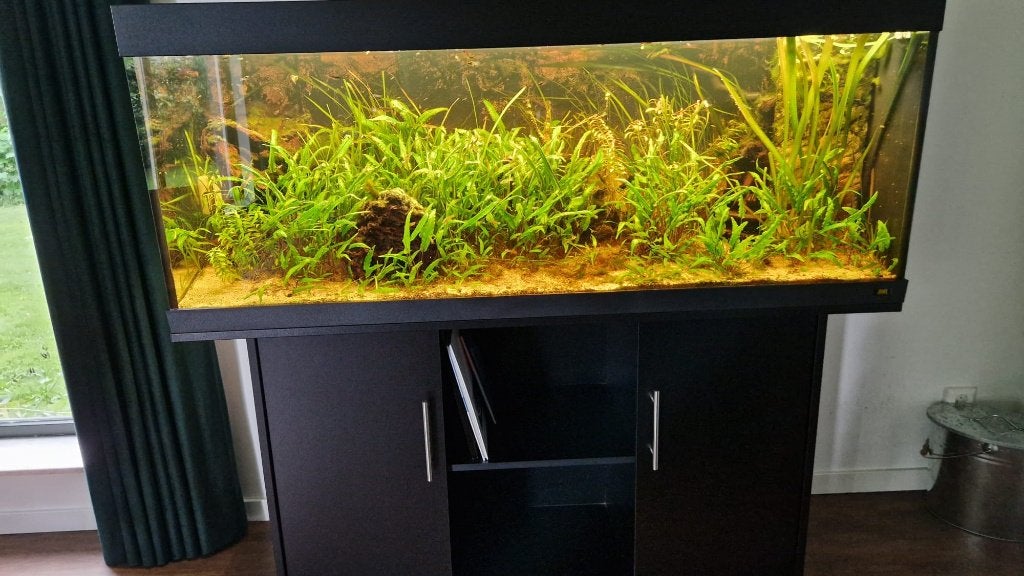 aquarium, Dieren en Toebehoren, Vissen | Aquaria en Toebehoren, Gebruikt, Gevuld zoetwateraquarium, Juwel, Ophalen