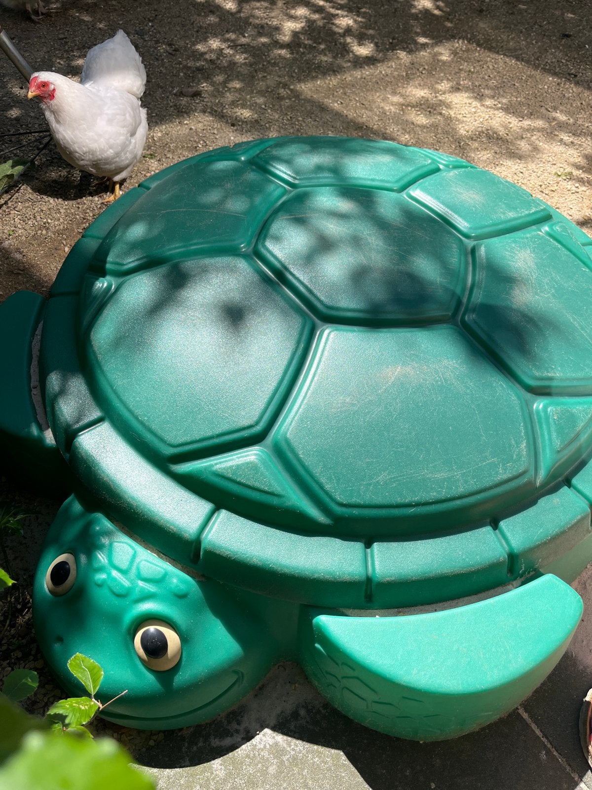Zandbak schildpad - Groen, Kinderen en Baby's, Speelgoed | Buiten | Zandbakken, Ophalen of Verzenden, Gebruikt