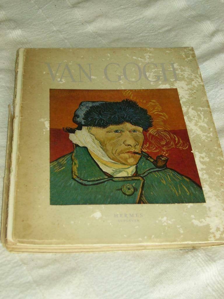 Boek over van Gogh: " een portret van v Gogh" Uitg. Hermes, Ophalen of Verzenden, Zo goed als nieuw, Schilder- en Tekenkunst