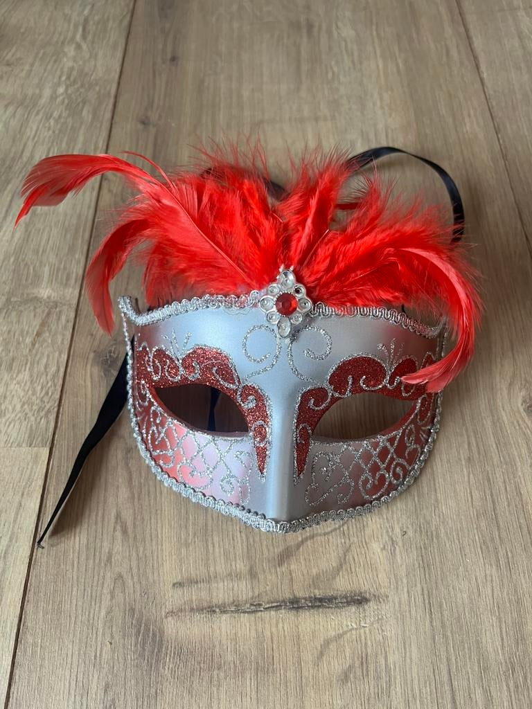 Venetiaans masker / gekocht in Venetië, Ophalen of Verzenden, Zo goed als nieuw, Carnaval