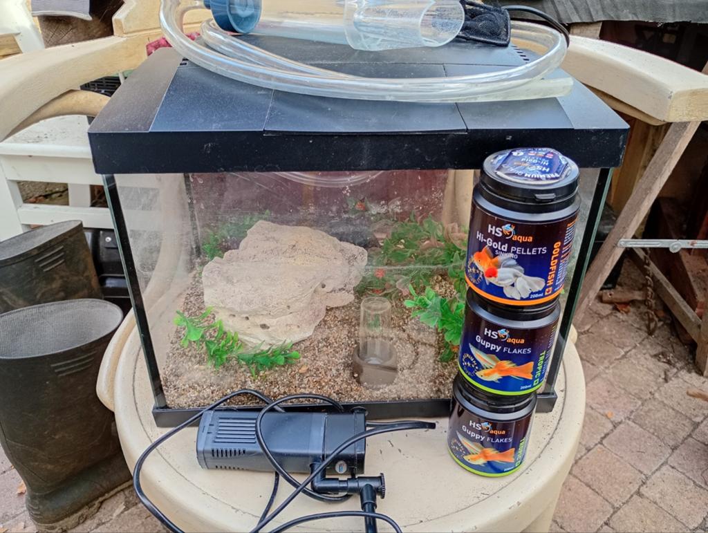 Aquarium met toebehoren, Ophalen, Leeg aquarium