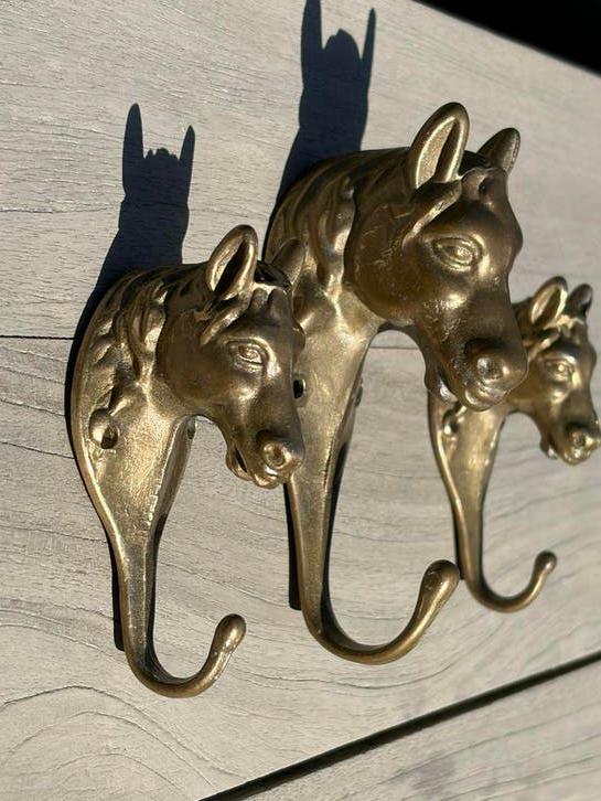 Set van 3 messing paardenhoofd wandhaken, Gebruikt, Wandhaken, Ophalen of Verzenden, Minder dan 100 cm