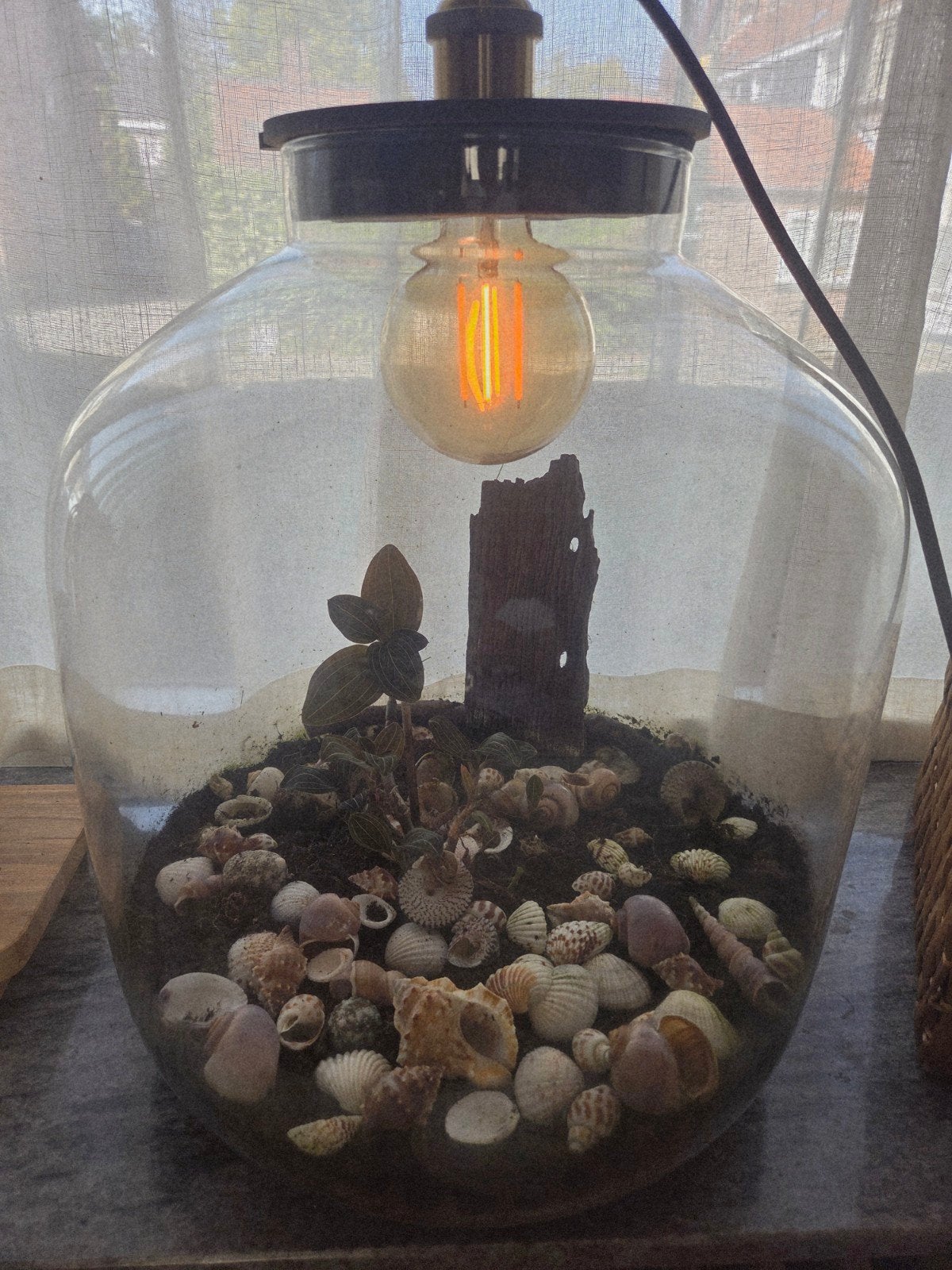 Unieke Terrarium Lamp met Zee-thema Decoratie, Ophalen, Zo goed als nieuw