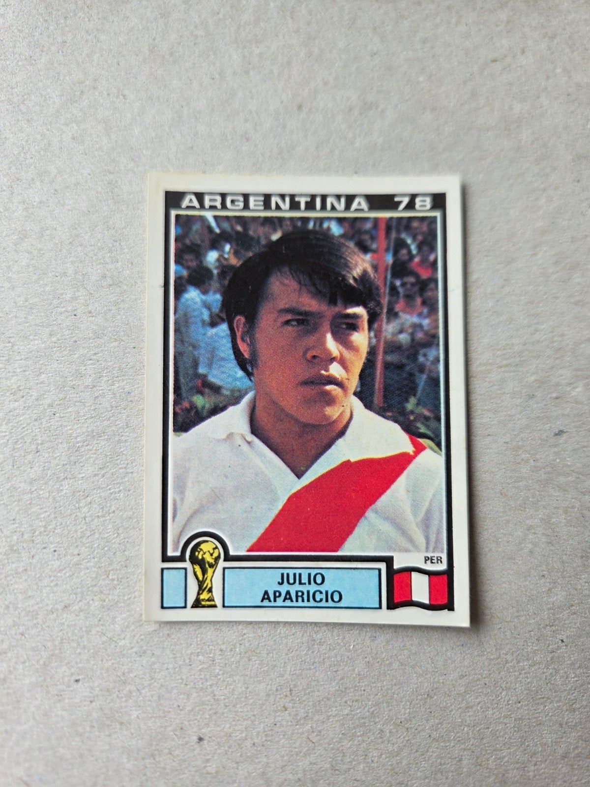 Panini WK 78, Ophalen of Verzenden, Zo goed als nieuw, Buitenlandse clubs, Poster, Plaatje of Sticker