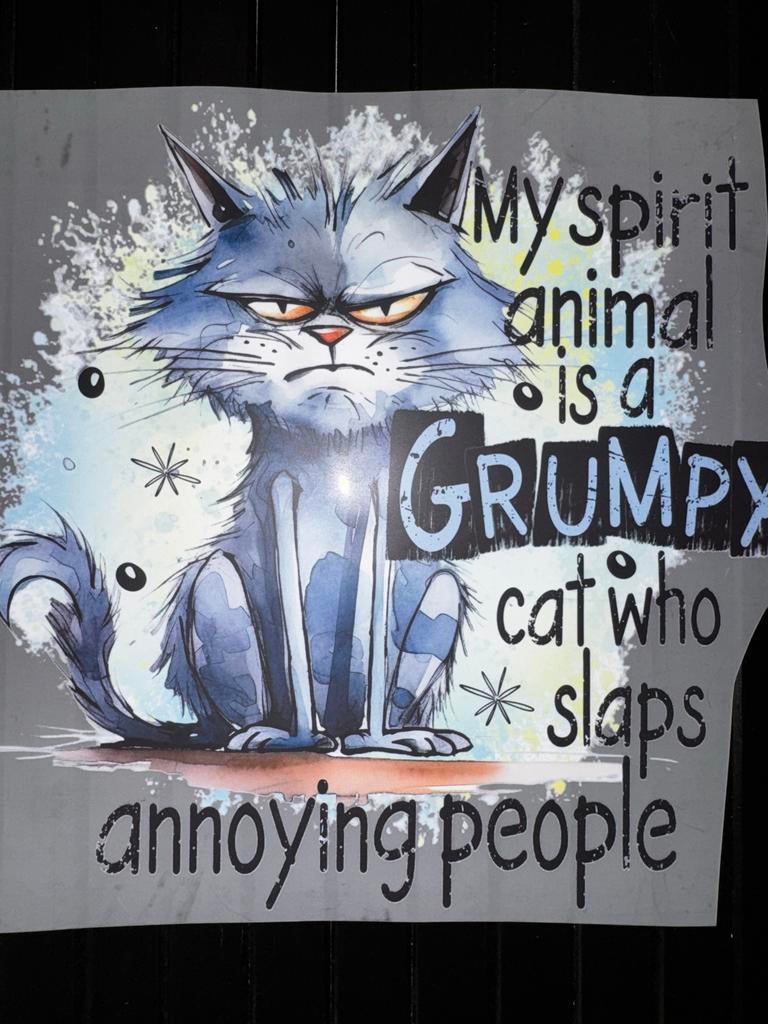 Grappige strijkpatch kat "Grumpy cat", Ophalen, Nieuw, Overige applicaties