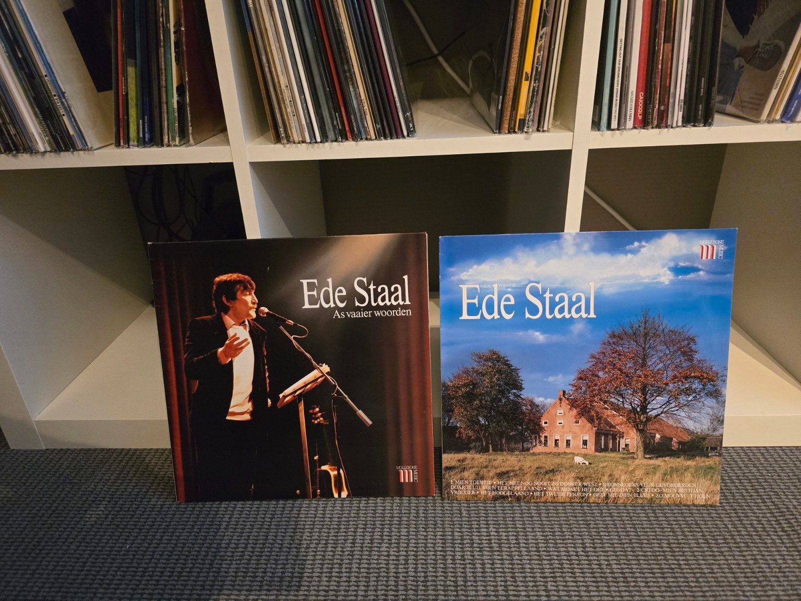 Ede staal vinyl, Ophalen of Verzenden, Gebruikt, 12 inch, Pop