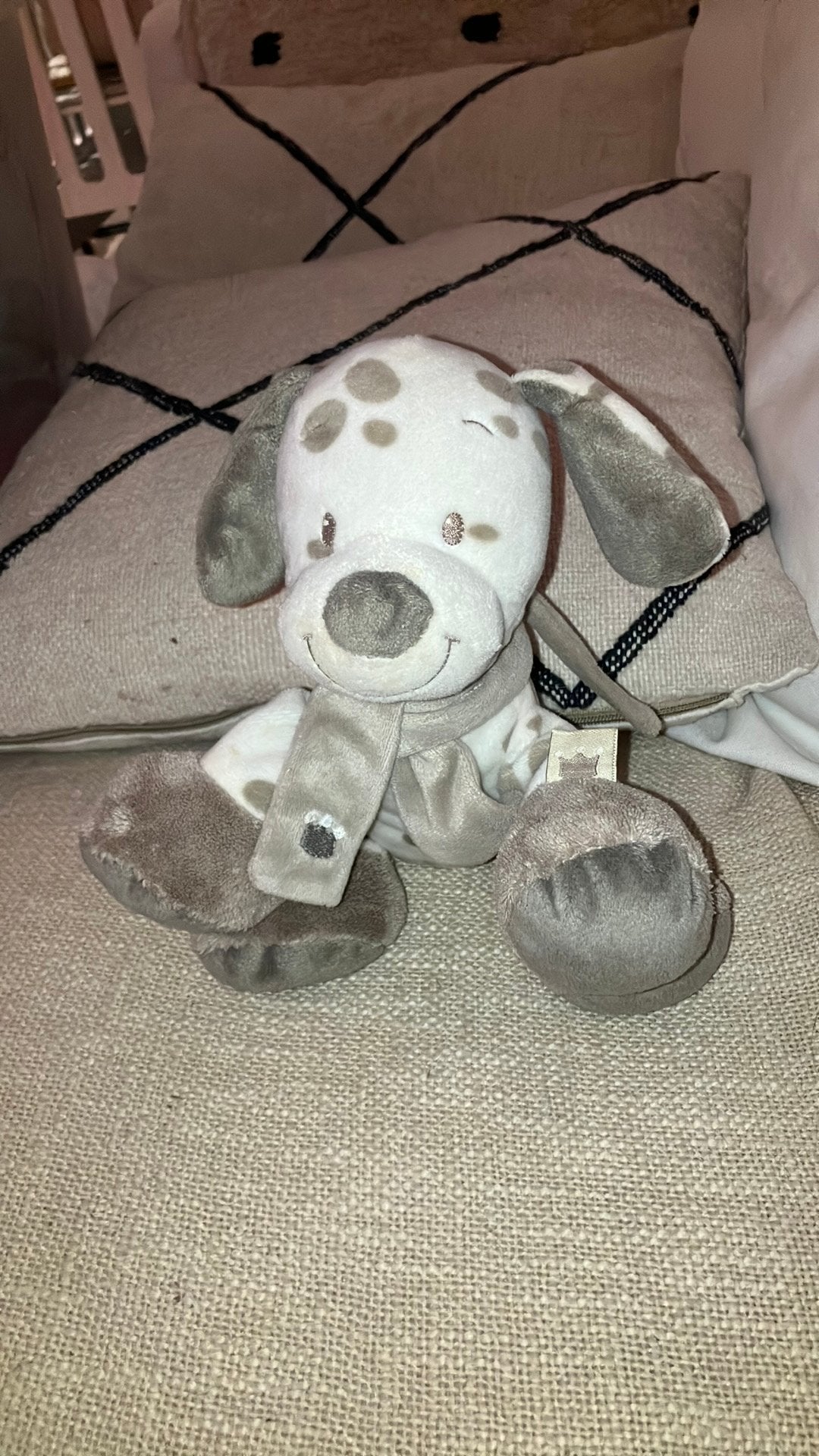 Nattou hond, Gebruikt, Overige merken, Middelgroot (20 tot 80 cm), Beige