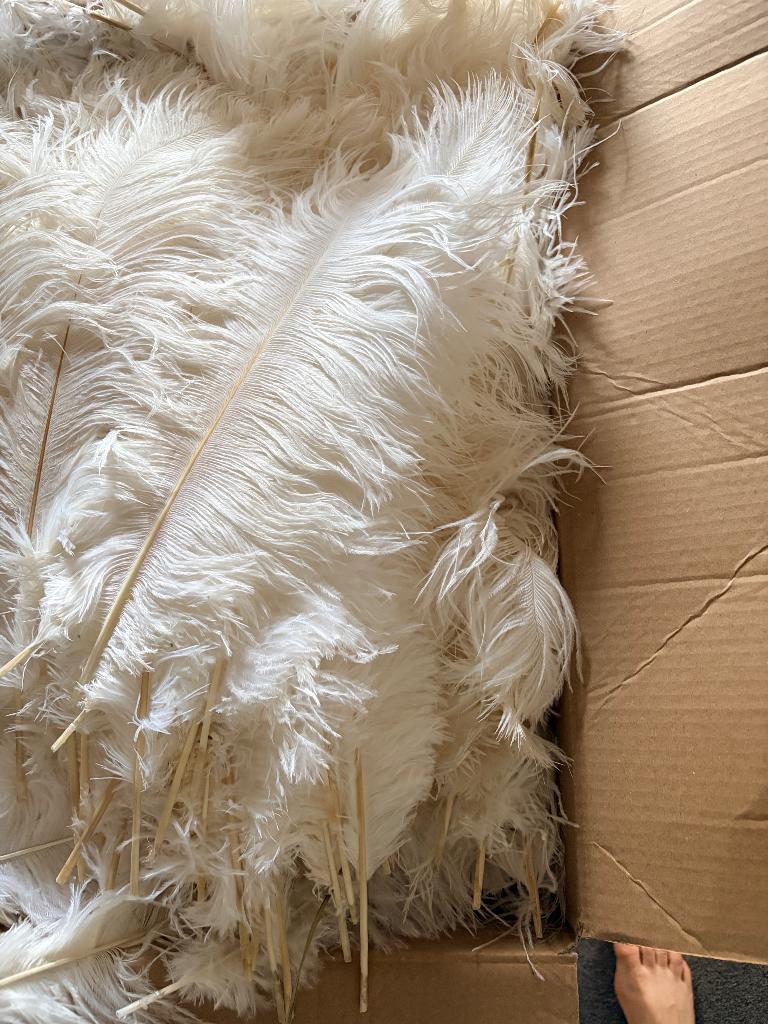 Witte Struisvogel veren event decoratie Great Gatsby/peaky, Ophalen of Verzenden, Nieuw, Meerdere media, Kunst en Creatief