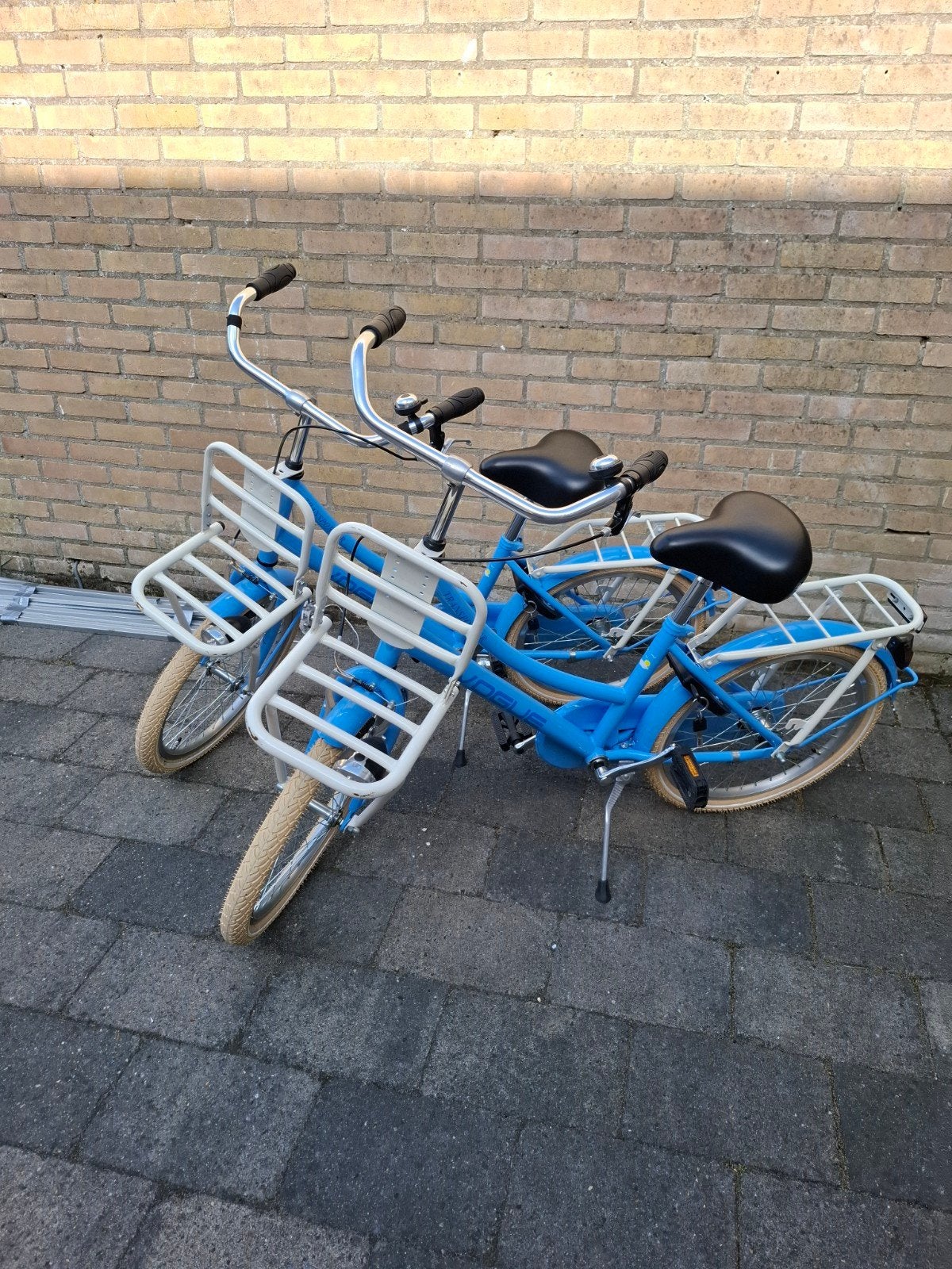 tweeling meisjes Highlander blauw kleur 20 inch fietsen, Fietsen en Brommers, Ophalen, Terugtraprem, Gebruikt, Handrem
