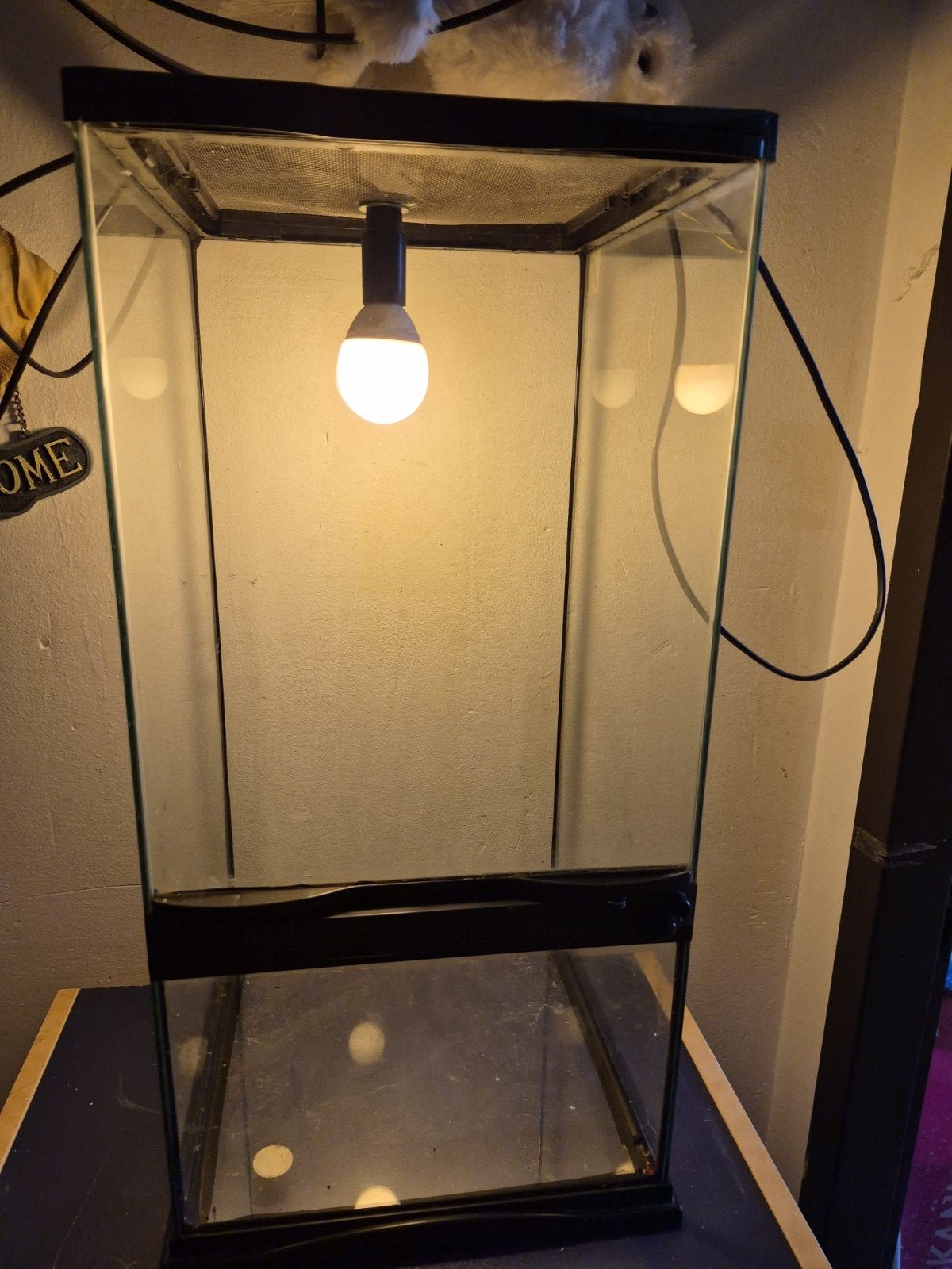 terrarium met verlichting voor insecten van exo, Ophalen, Zo goed als nieuw