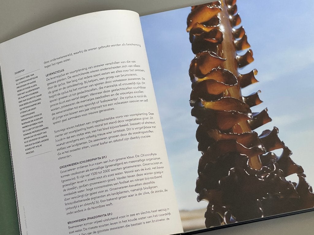 Groente uit zee - recepten & info over zeewier en algen 2015, Boeken, Vegetarisch, Ophalen of Verzenden, Zo goed als nieuw, Nederland en België
