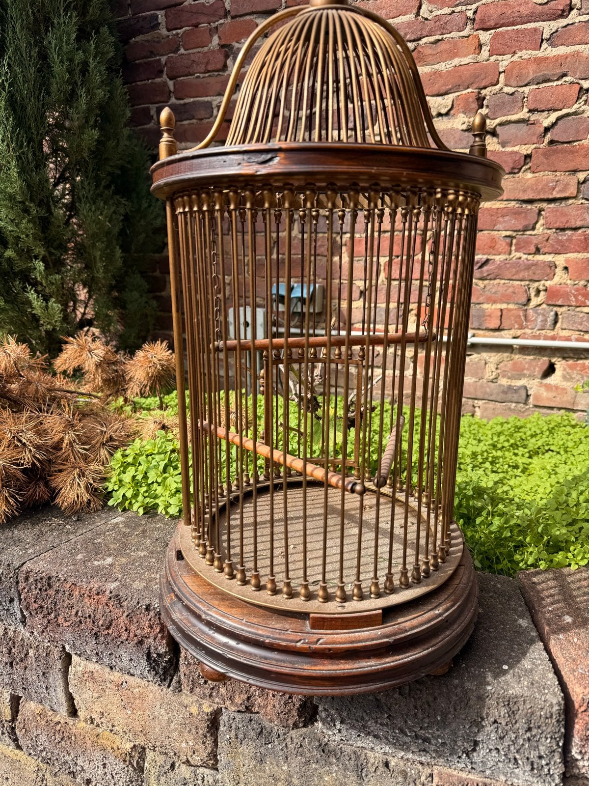 Vintage houten vogelkooi met messing details, Ophalen