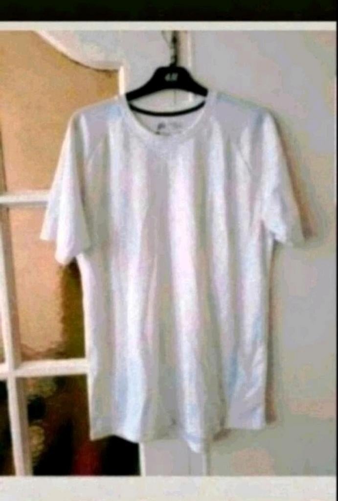 Wit t-shirt maat L, Ophalen of Verzenden, Zo goed als nieuw, Maat 52/54 (L), Wit