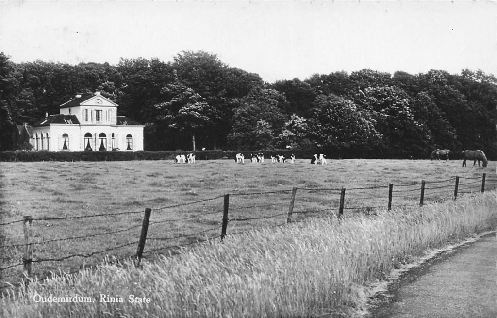 703-399-037 Oudemirdum Rinia State, Verzamelen, Ophalen of Verzenden, Voor 1920, Friesland
