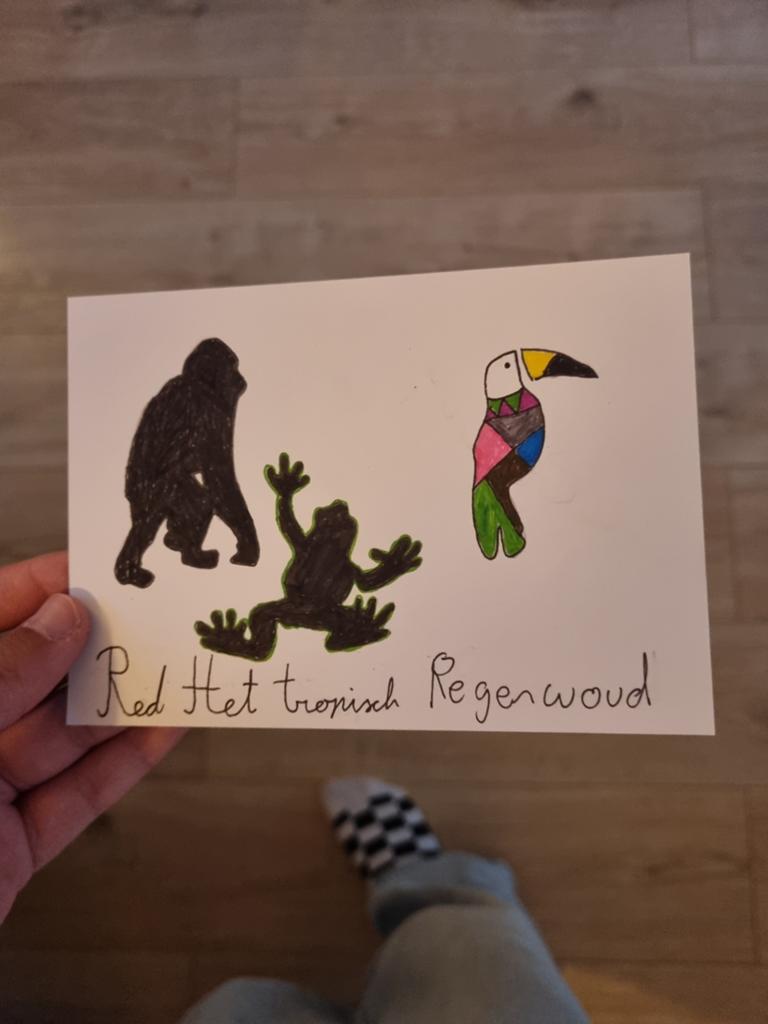 Handgemaakte Ansichtkaart: Red Het Tropisch Regenwoud, Hobby en Vrije tijd, Ophalen of Verzenden