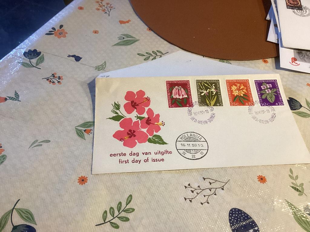 No339 Nederlands Nieuw Guinea E3 Heb ook van Nederland, Postzegels en Munten, Postzegels | Eerstedagenveloppen, Ophalen, Onbeschreven