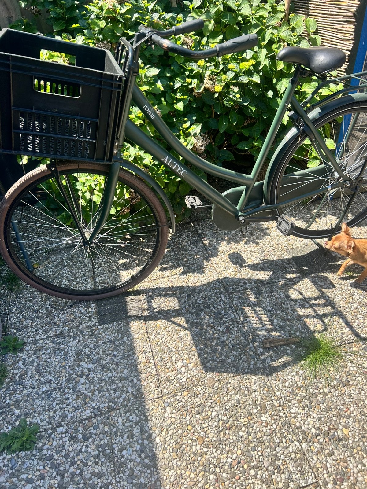 Altec roma dames fiets, 56 cm of meer, Ophalen, Zo goed als nieuw, Terugtraprem