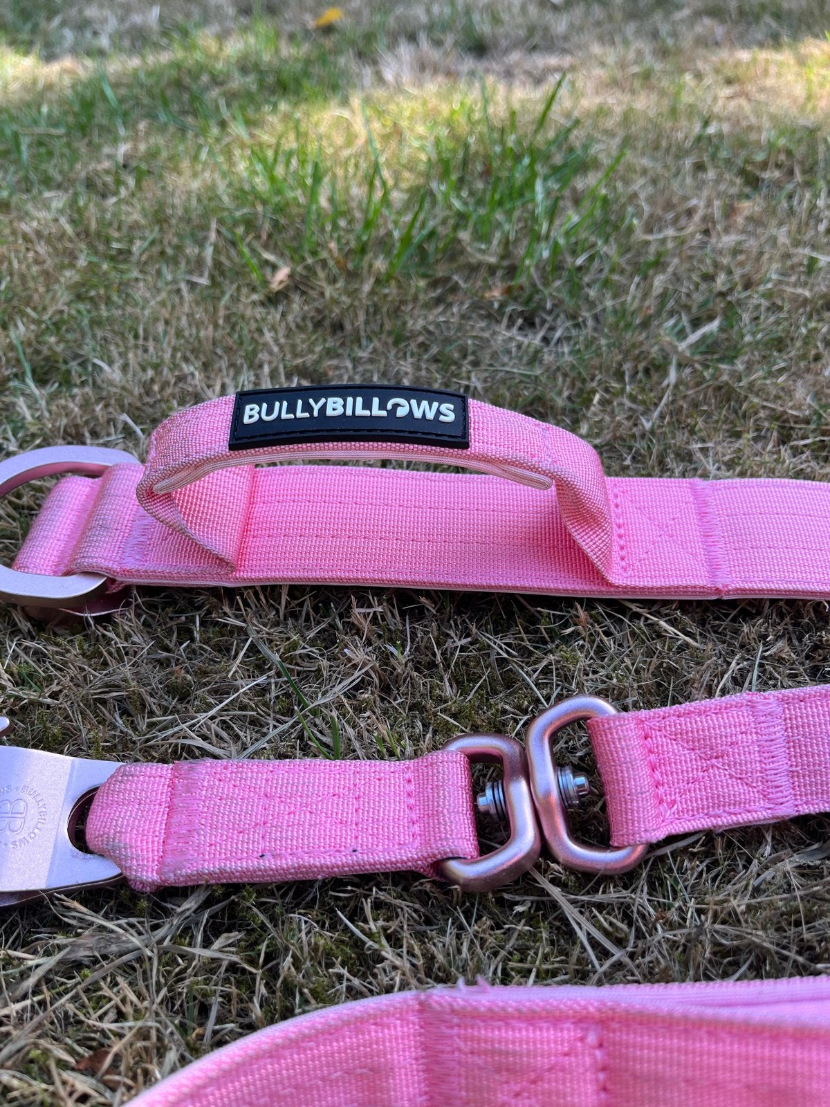 Te koop halsband met riem!, Ophalen of Verzenden, Zo goed als nieuw, Hondenriem