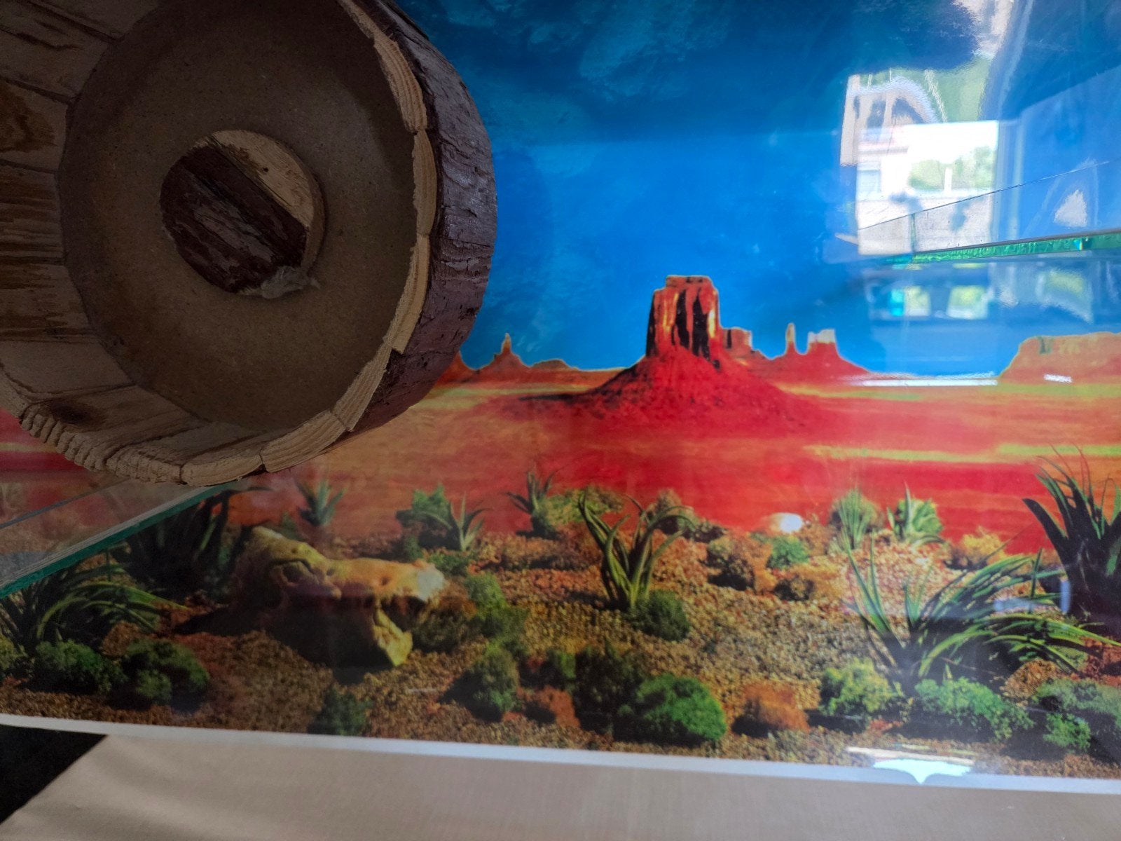 terrarium voor gerbils en hamsters, April, Meerdere dieren, Overige typen