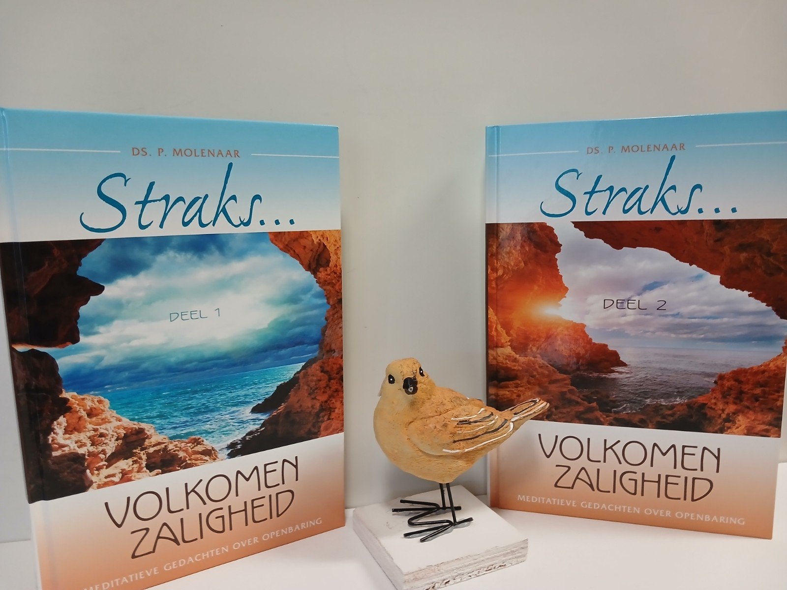 Molenaar, ds. P. Straks… Volkomen zaligheid (2 delen), Ophalen of Verzenden, Gelezen, Christendom | Protestants