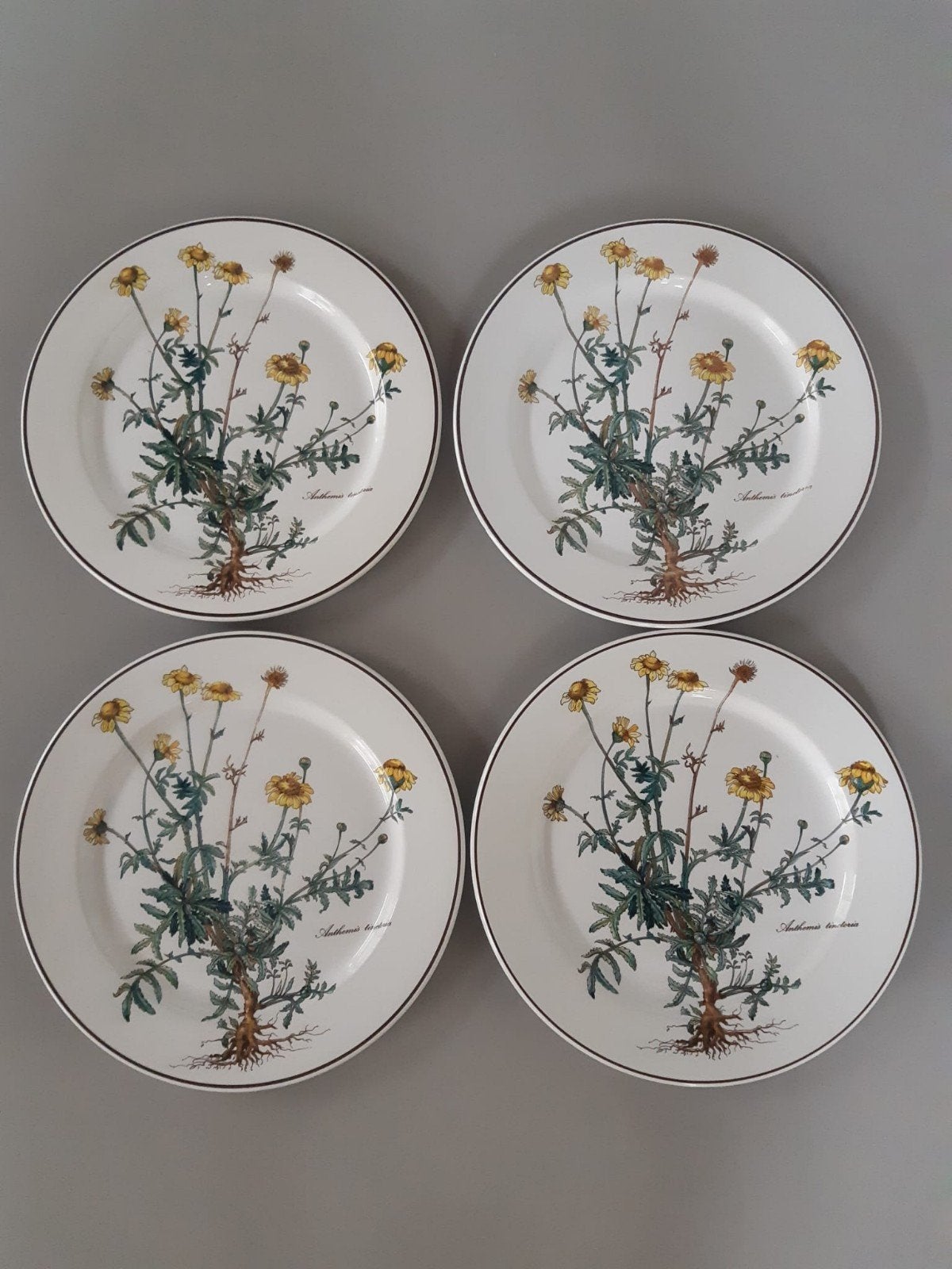 Dinerborden 24 cm Villeroy en Boch Botanica, 12 beschikbaar, Nieuw, Ophalen of Verzenden, Bord(en), Overige stijlen