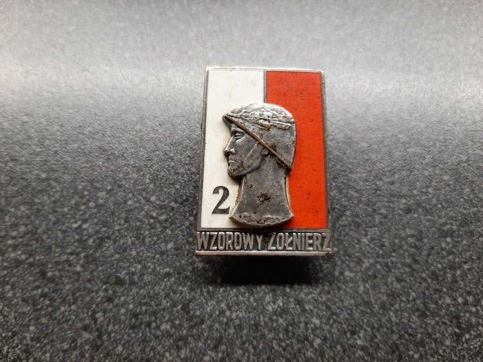Polen  -  Soldier  Badge  no.2  /  40x27 mm. Bod va.9 euro., Ophalen of Verzenden, Landmacht, Overige gebieden, Embleem of Badge