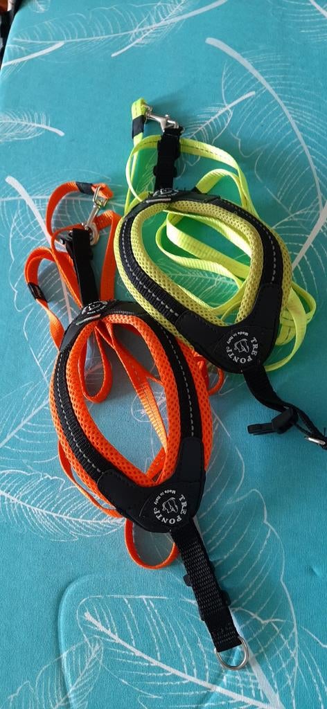 Super stoere kleine hondentuigjes, Ophalen, Nieuw