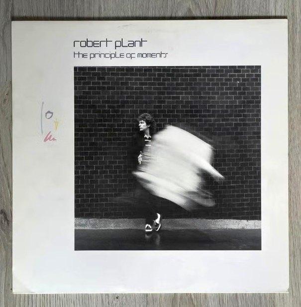 LP Robert Plant - The Principle Of Moments, Ophalen, Gebruikt, 1980 - 1989, 12 inch