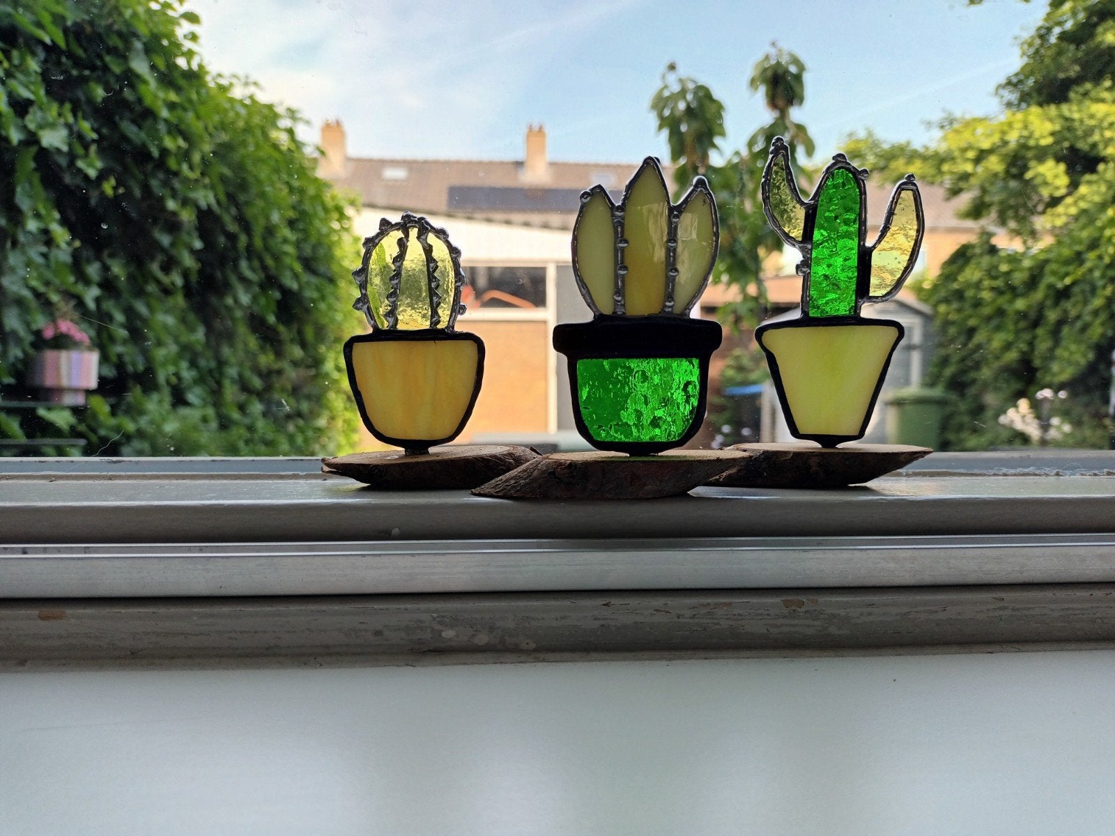 Workshop cactus van Tiffany, Ophalen, Nieuw