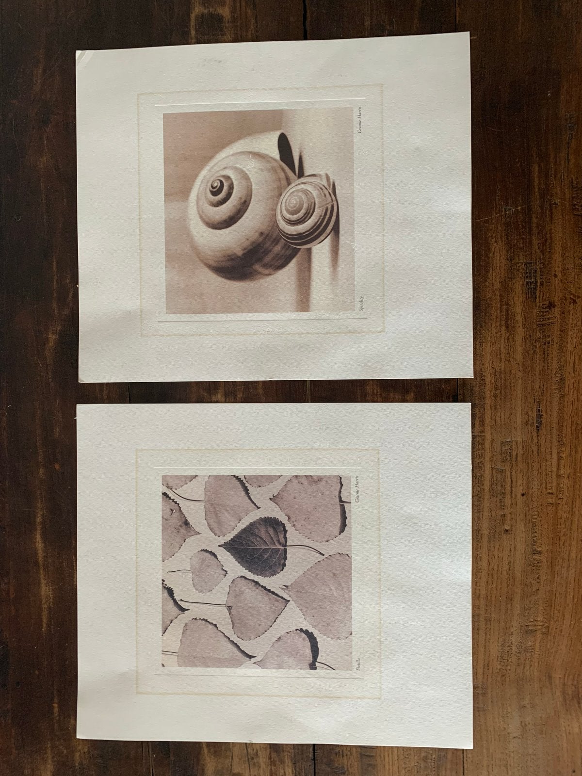 Set van 2 kunstprints van Graeme Harris, Ophalen, Print, Print/reproductie, Gesigneerd