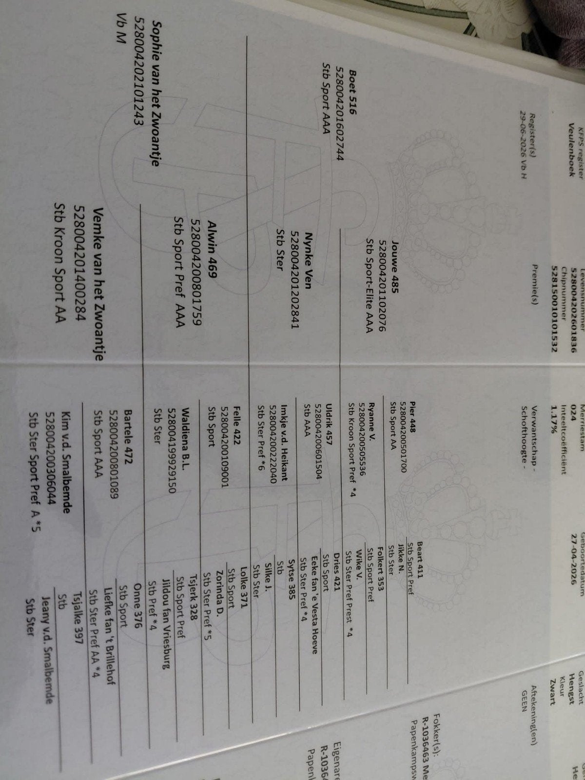 Aangeboden 2 super leuke friese veulens met supper papier, Dieren en Toebehoren, Meerdere dieren
