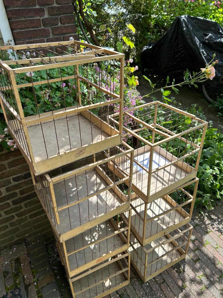 9 Duiven kooien, Dieren en Toebehoren, Ophalen, Gebruikt, Hout, Vogelkooi