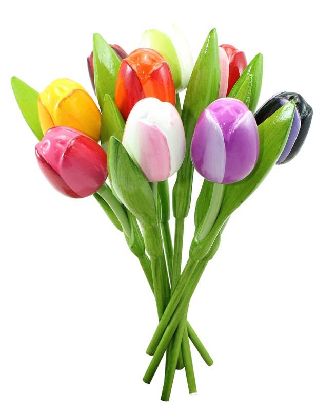 Tulpen Boeket 9 Stuks – Luxe Cadeau – Vanaf €11,95, Werkschoenendeal, Marktplaats@werkschoenendeal.nl, Nieuw, Ophalen of Verzenden