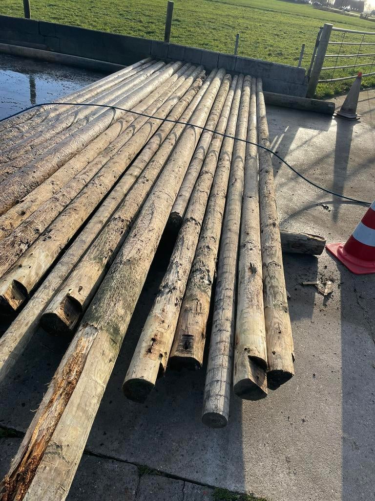 Meerpalen balken palen hout, Ophalen, Gebruikt, 250 cm of meer, Palen