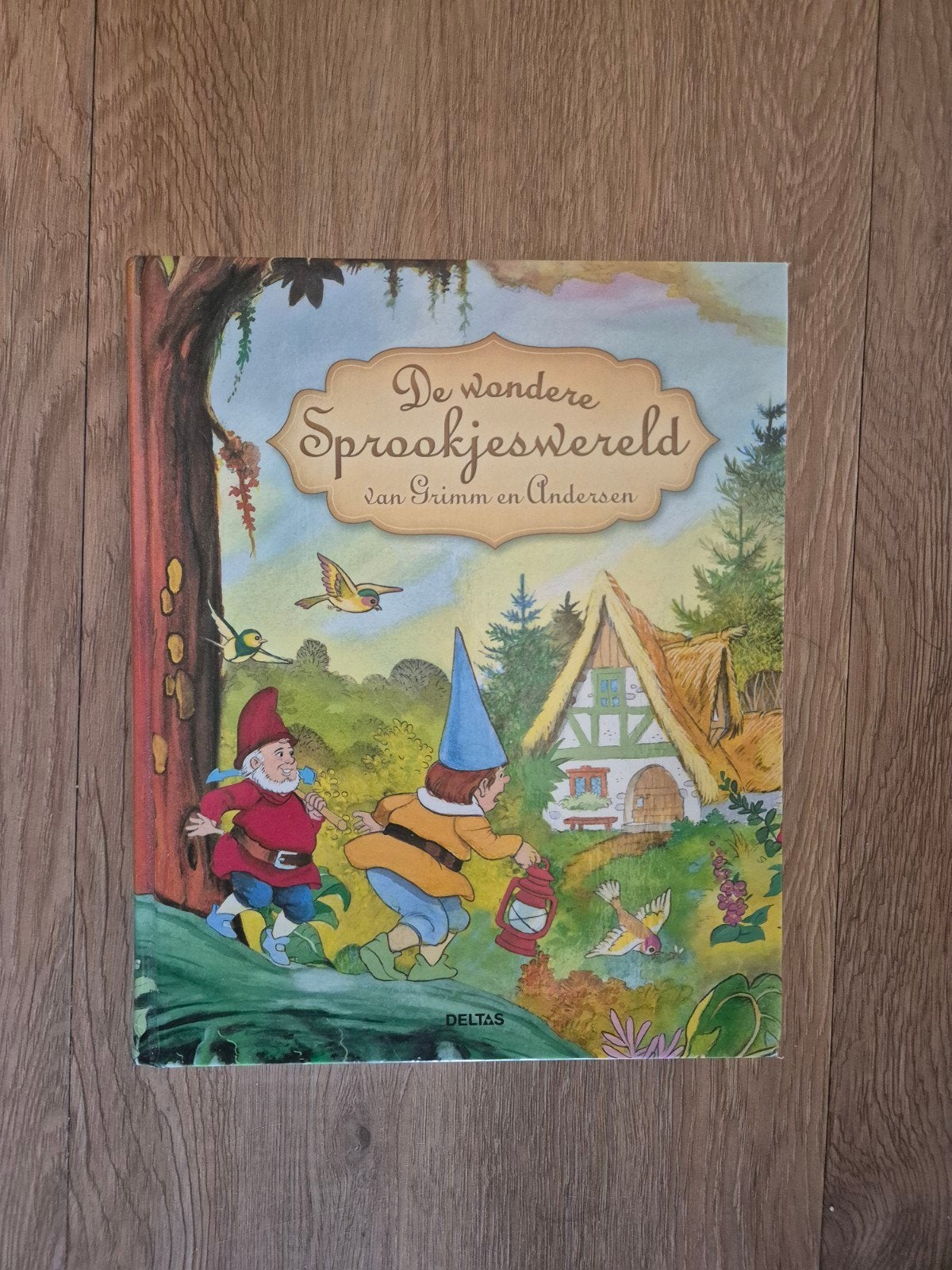 De Wondere Sprookjeswereld van Grimm en Andersen, Ophalen of Verzenden, Nieuw, Grimm en Andersen