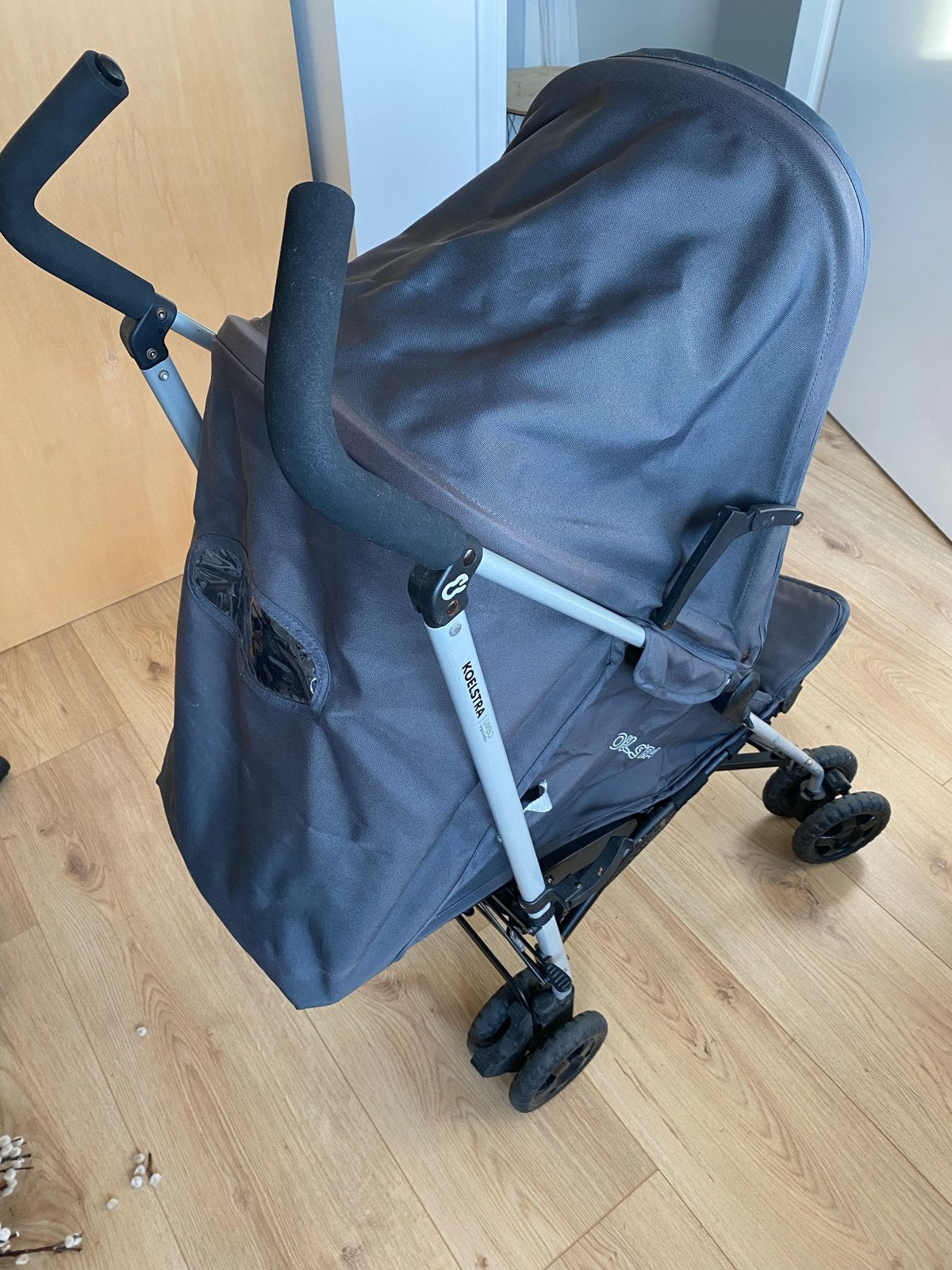 Koelstra Buggy, Ophalen, Gebruikt, Koelstra, Verstelbare rugleuning