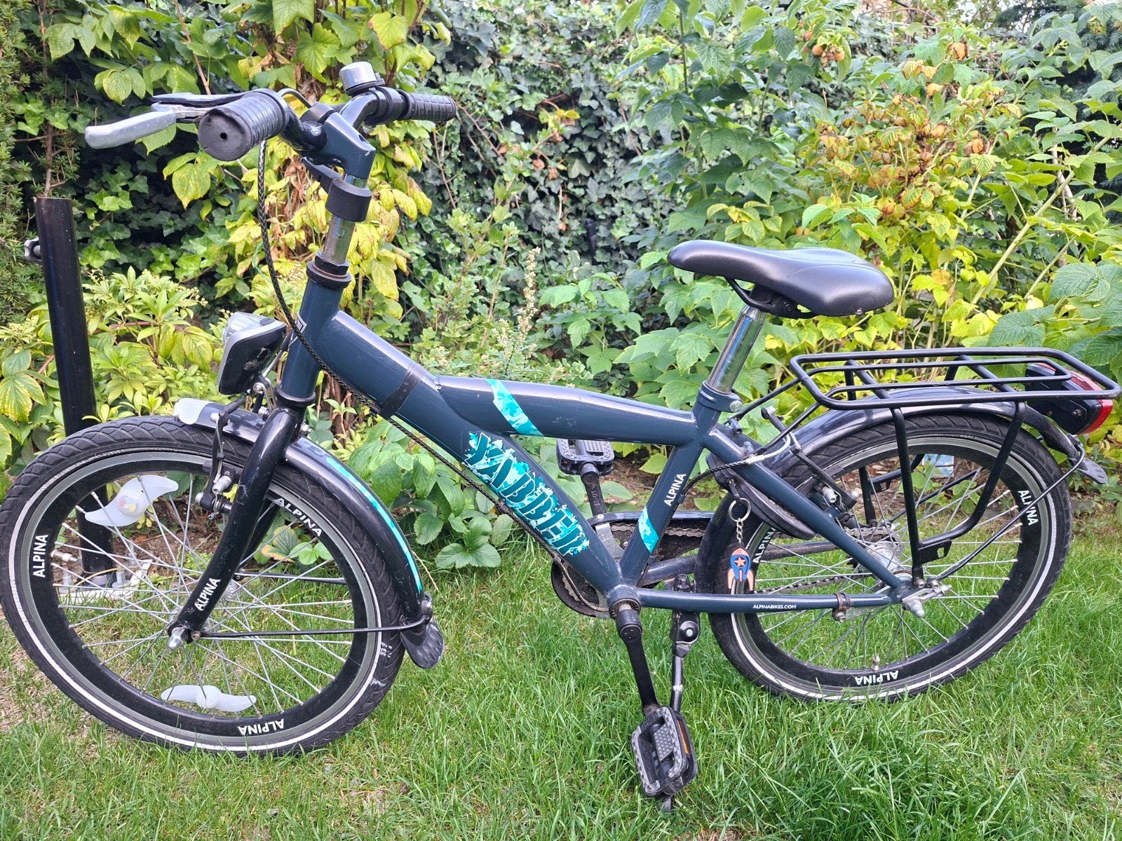 Alpina yabber kinderfiets 20 inch, Ophalen, Terugtraprem, Gebruikt, Alpina  yabber